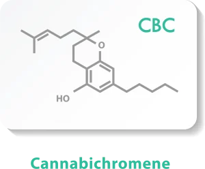 Cannabichromene - CBC