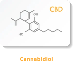 Cannabidiol - CBD