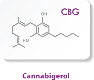 Cannabigerol - CBG
